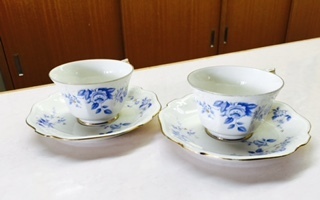 image1.JPG