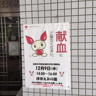 image3.JPG