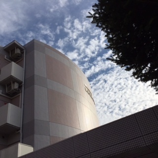 image7.JPG