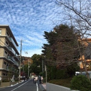 image8.JPG