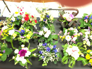 resize0489.jpg